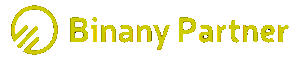 Logo Binany partner.